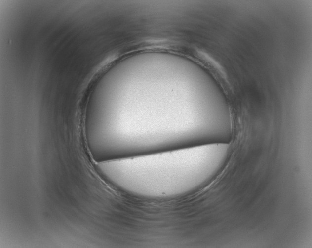 X0000074931411200609010907