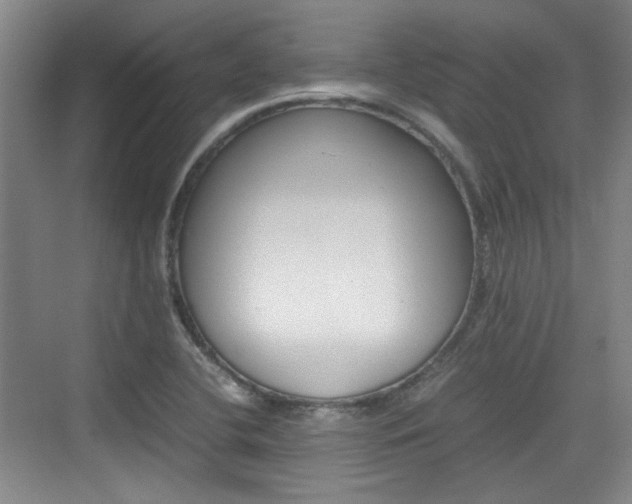 X0000074931412200609010907