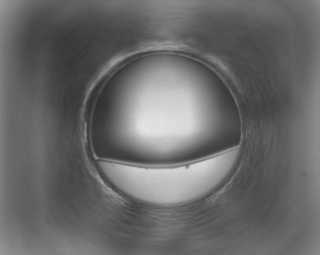 X0000074931414200609010907