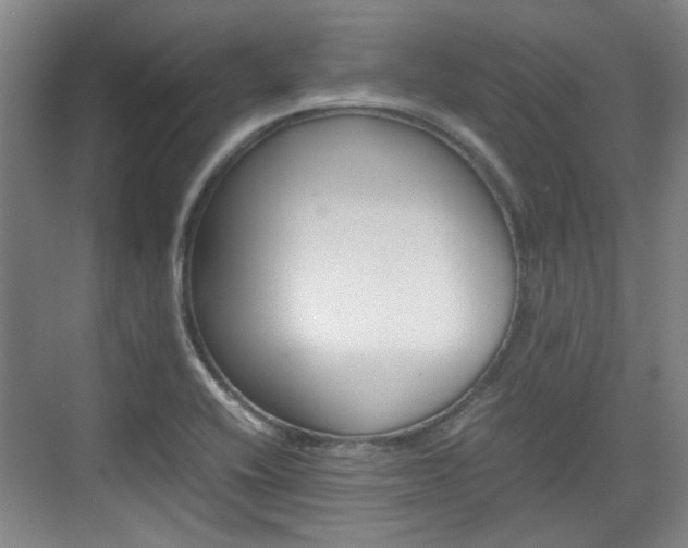 X0000074931416200609010907