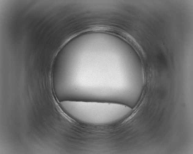 X0000074931417200609010907