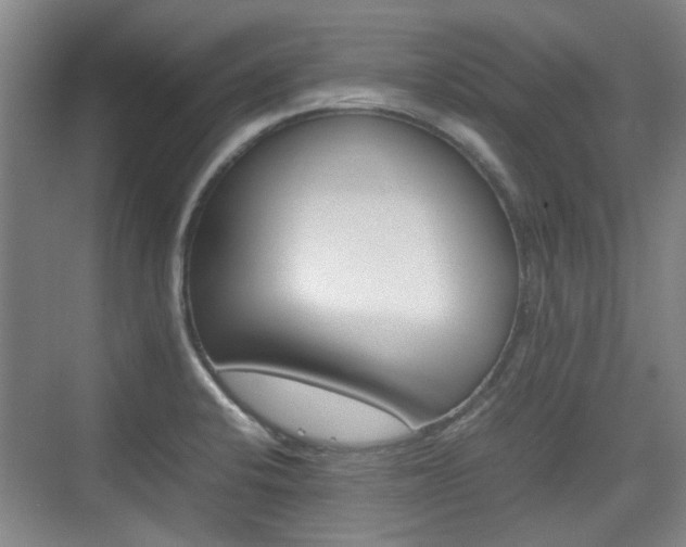 X0000074931424200609010907