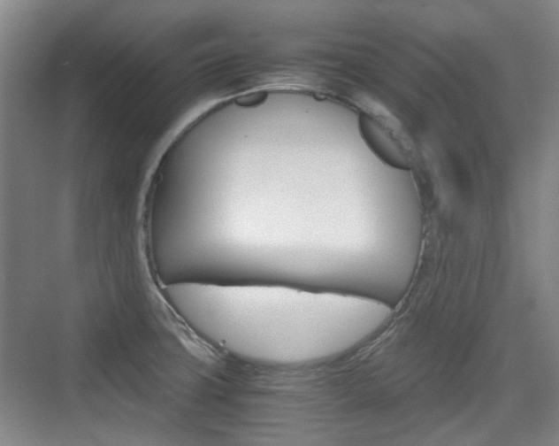 X0000074931427200609010907