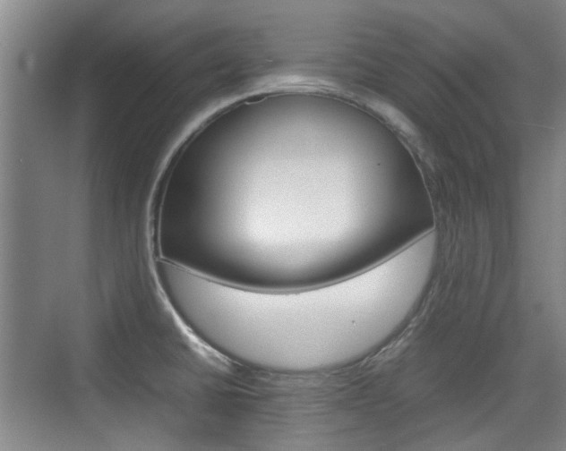 X0000074931430200609010907