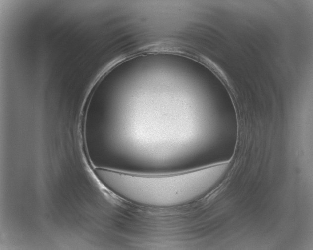 X0000074931434200609010907