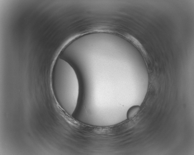 X0000074931435200609010908