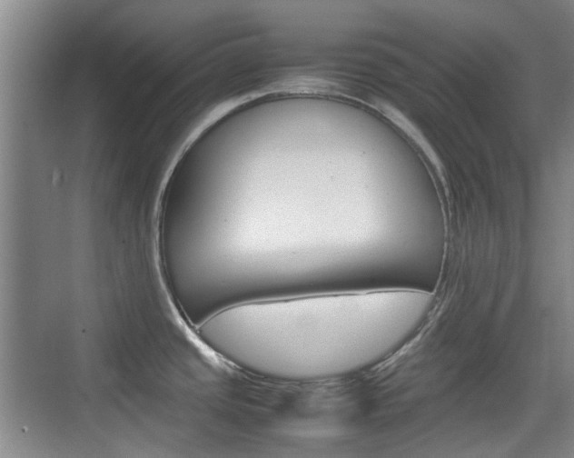 X0000074931437200609010908