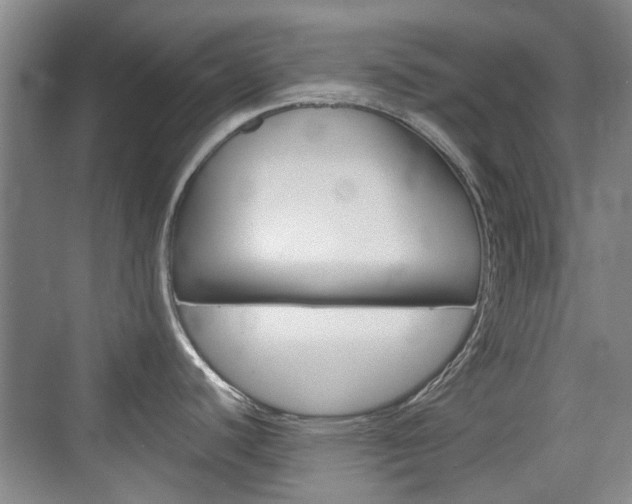 X0000074931440200609010908