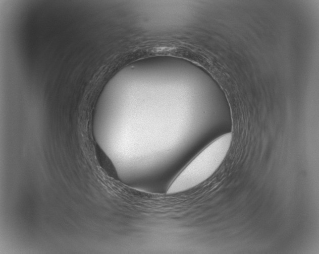 X0000074931441200609010907