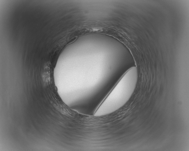 X0000074931442200609010907