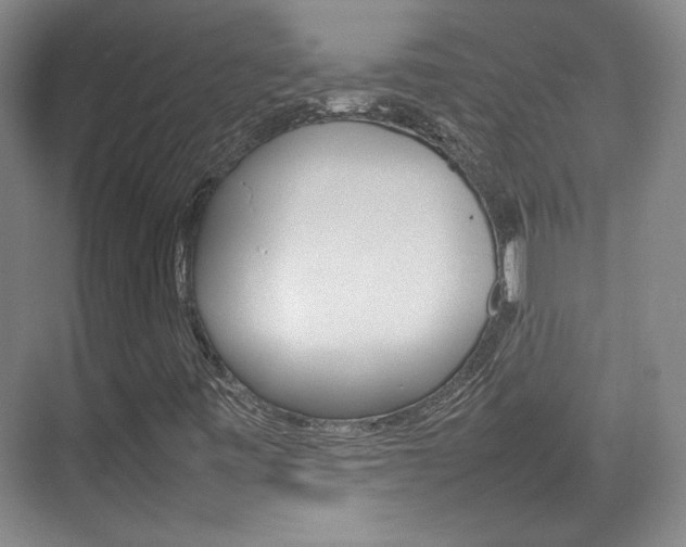 X0000074931443200609010907