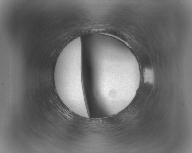X0000074931444200609010907