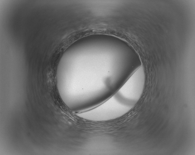 X0000074931445200609010907