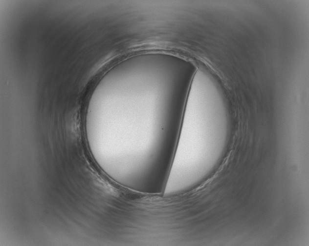 X0000074931450200609010907