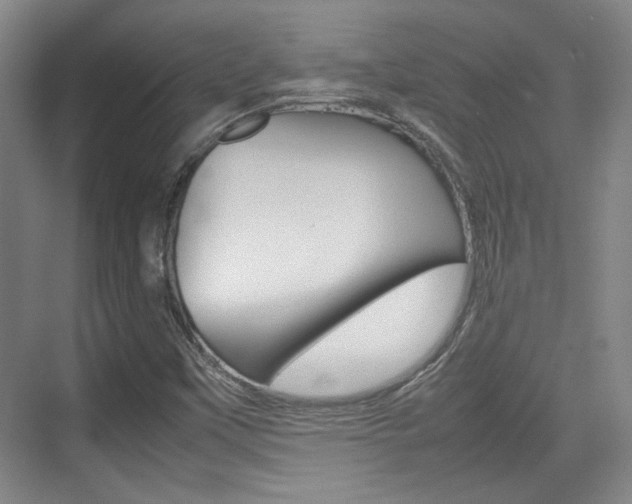X0000074931451200609010907