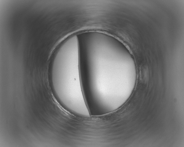 X0000074931452200609010907