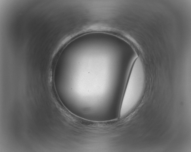 X0000074931461200609010906