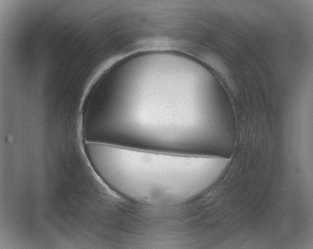 X0000074931472200609010906