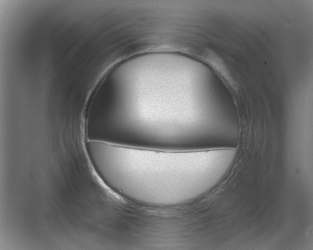 X0000074931476200609010906