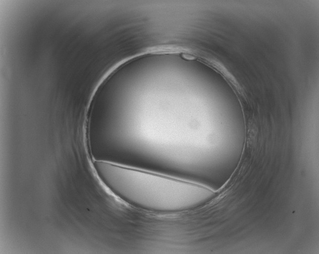X0000074931484200609010906