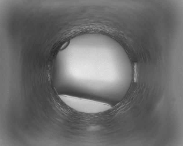 X0000074931491200609010905