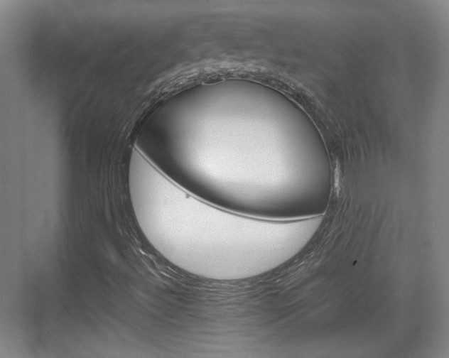 X0000074931492200609010905