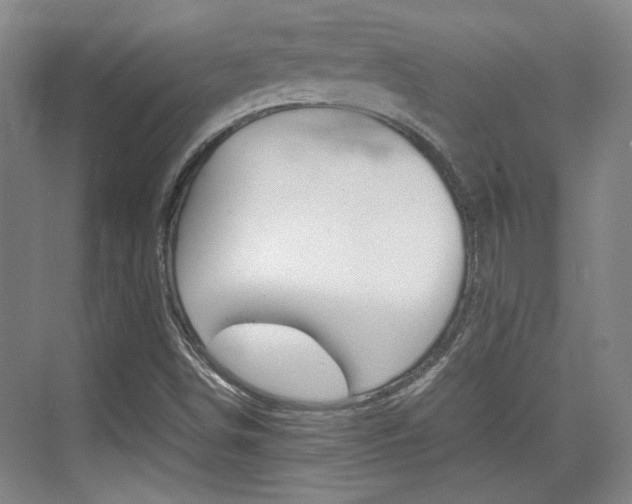 X0000074931498200609010905