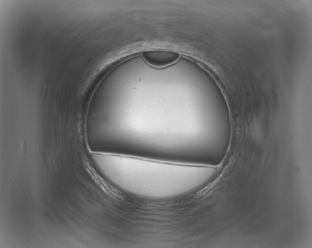 X0000074931499200609010905