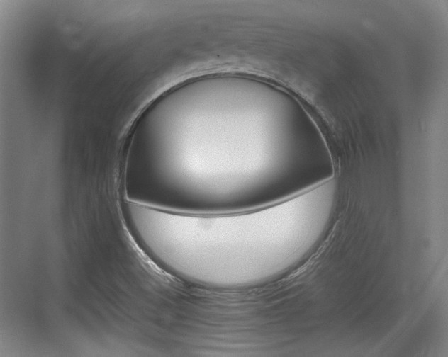 X0000074931500200609010905