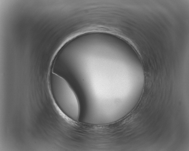 X0000074931531200609010906