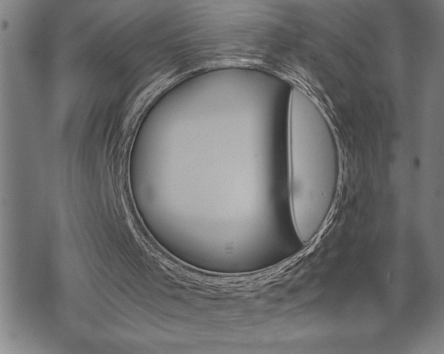 X0000074930001200609011102