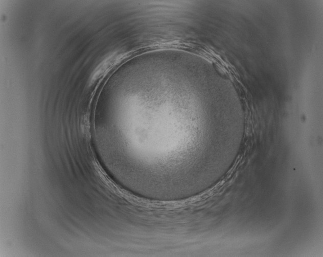 X0000074930002200609011102