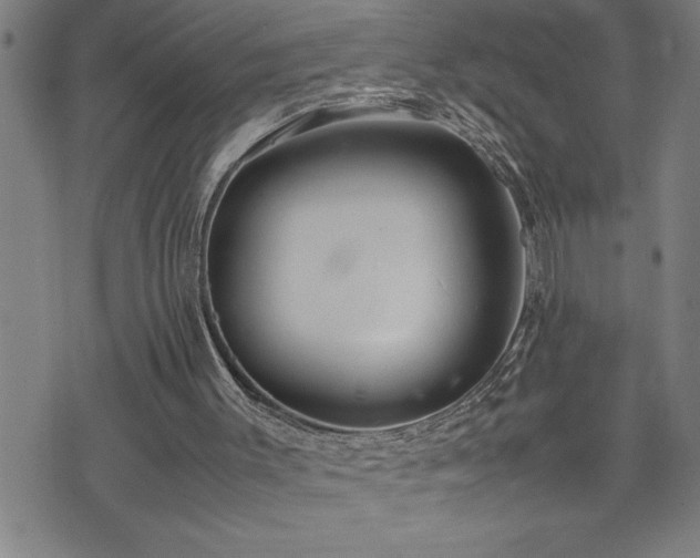 X0000074930003200609011102