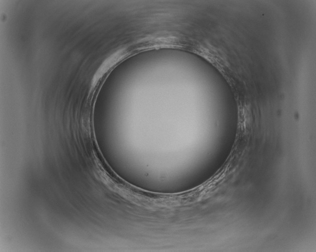 X0000074930004200609011102