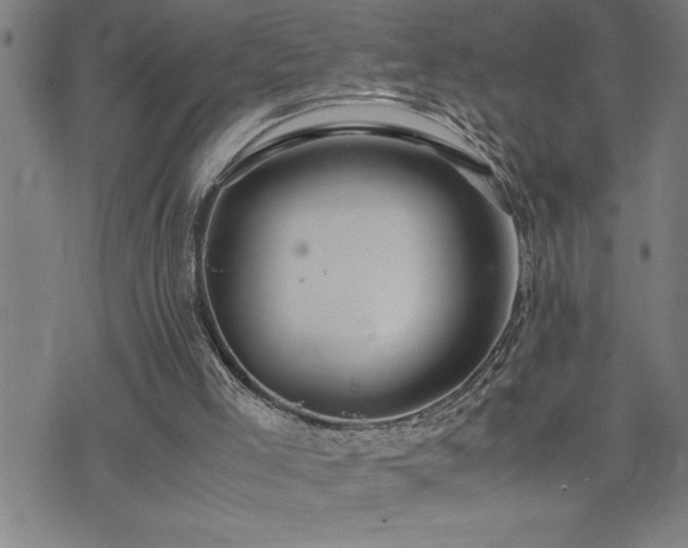 X0000074930005200609011102