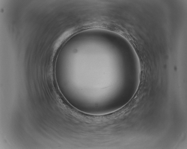 X0000074930006200609011102