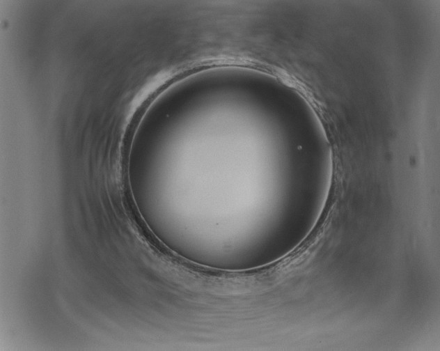 X0000074930008200609011102