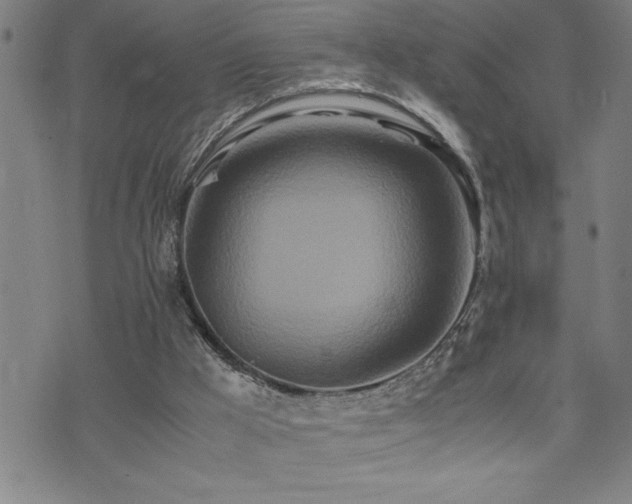 X0000074930009200609011102