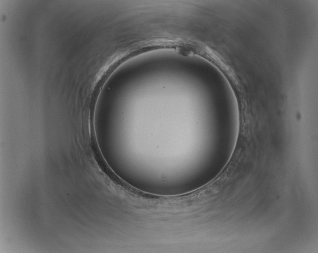 X0000074930011200609011102