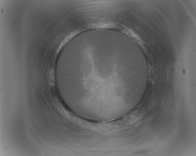 X0000074930012200609011102