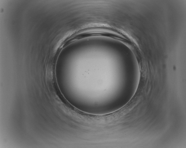 X0000074930015200609011102