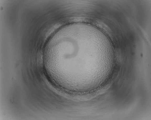 X0000074930016200609011102