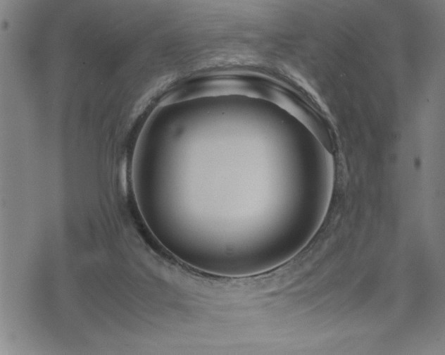 X0000074930019200609011102