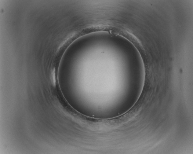 X0000074930020200609011102