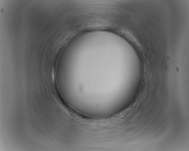 X0000074930021200609011102