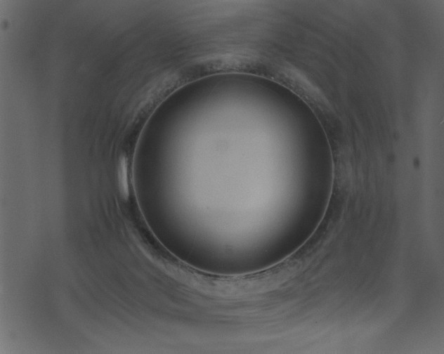 X0000074930022200609011102