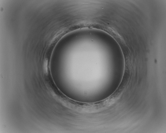 X0000074930024200609011102