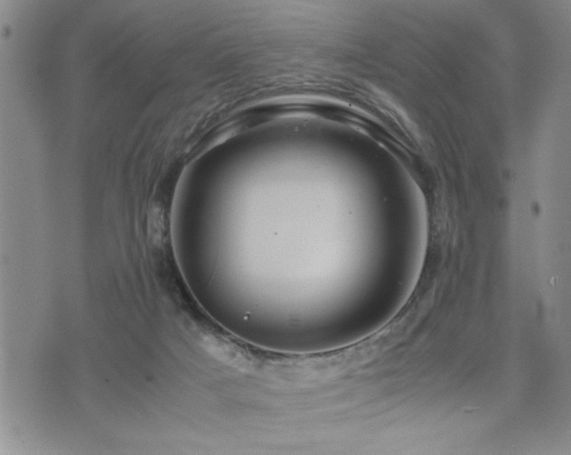 X0000074930025200609011102