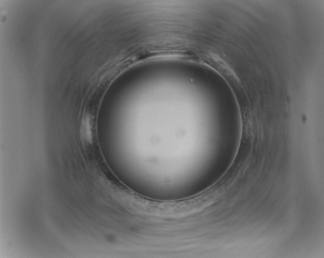 X0000074930026200609011102