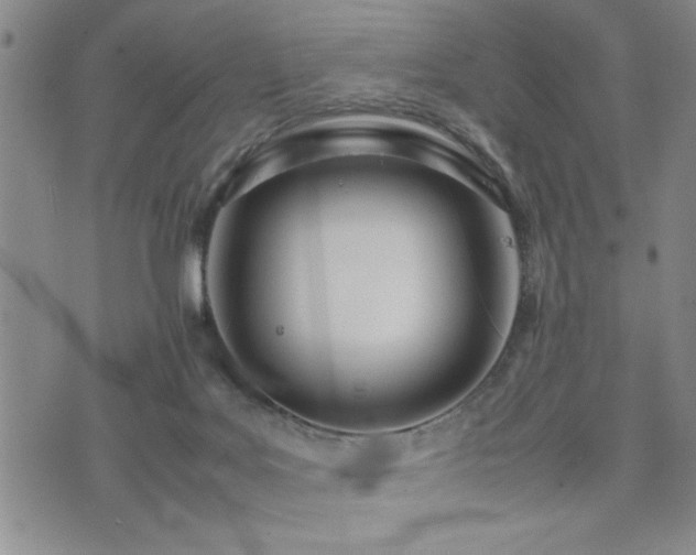 X0000074930027200609011102